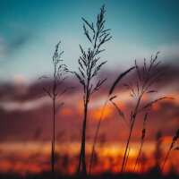 Lesen LED Bilder Bewertungen